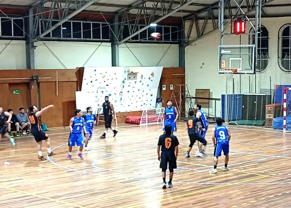 focus vs Juventud