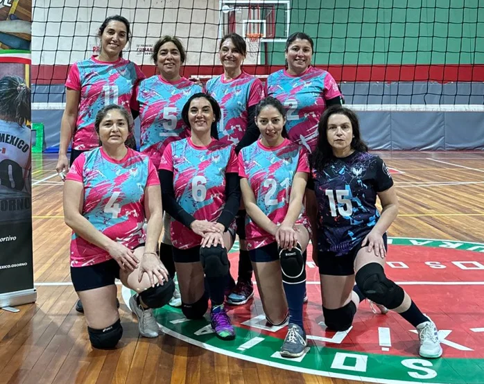 4 voleibol