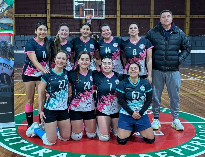 5 voleibol